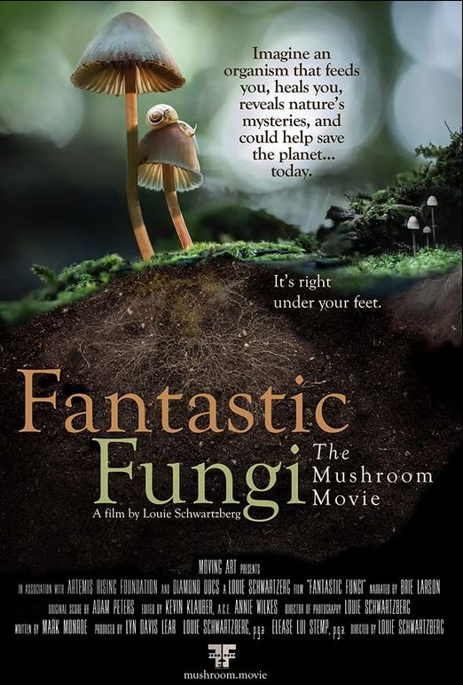 gv21_fantastic-fungi-poster