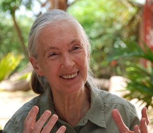 Jane Goodall