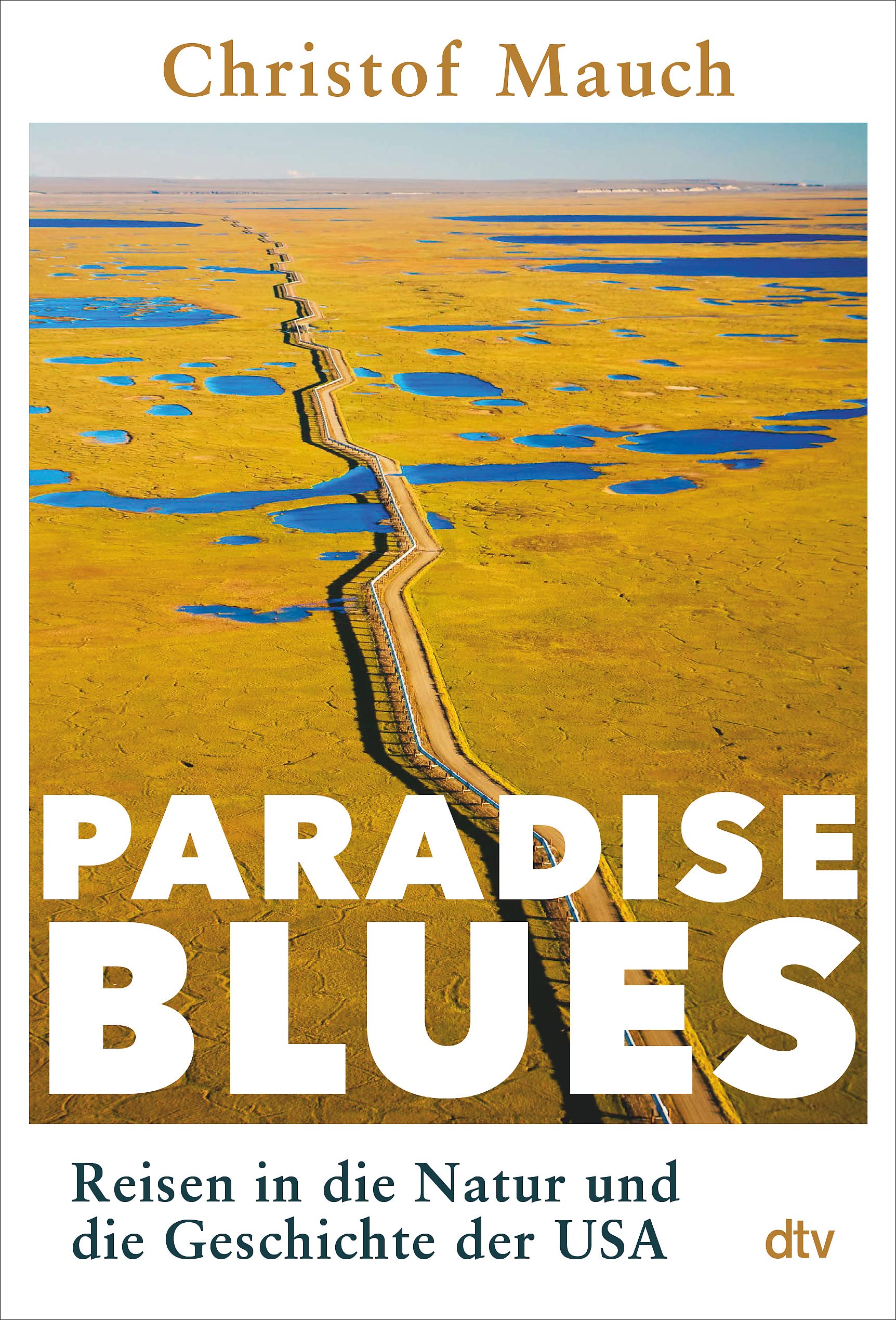 cover_paradise_blues