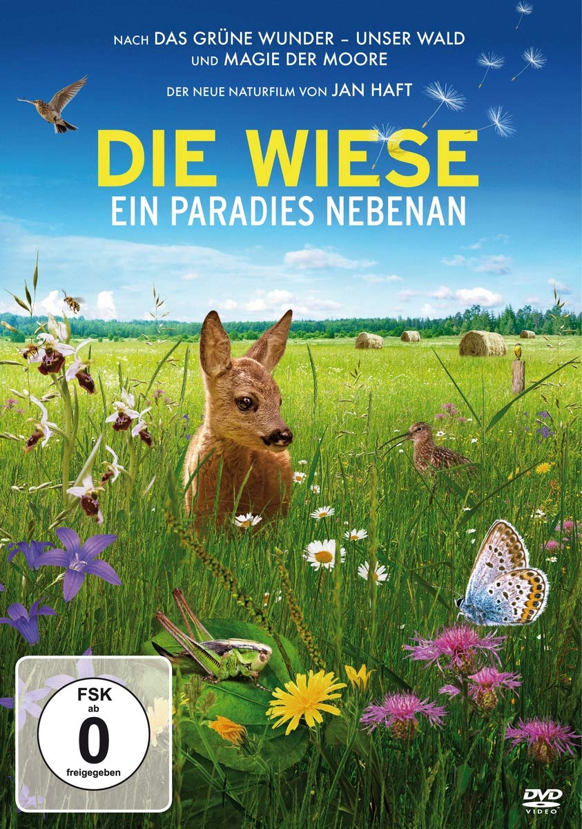 Die Wiese