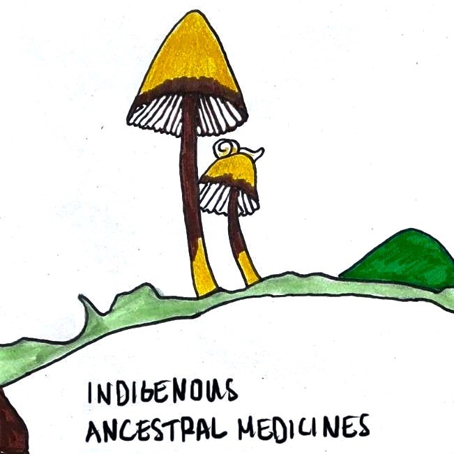Decolonial Medicine Cover