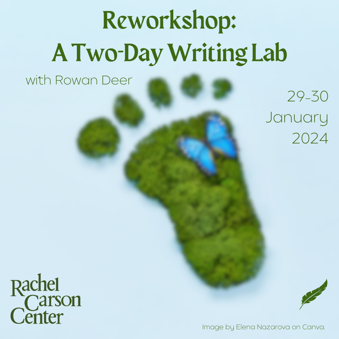 Reworkshop January 2024