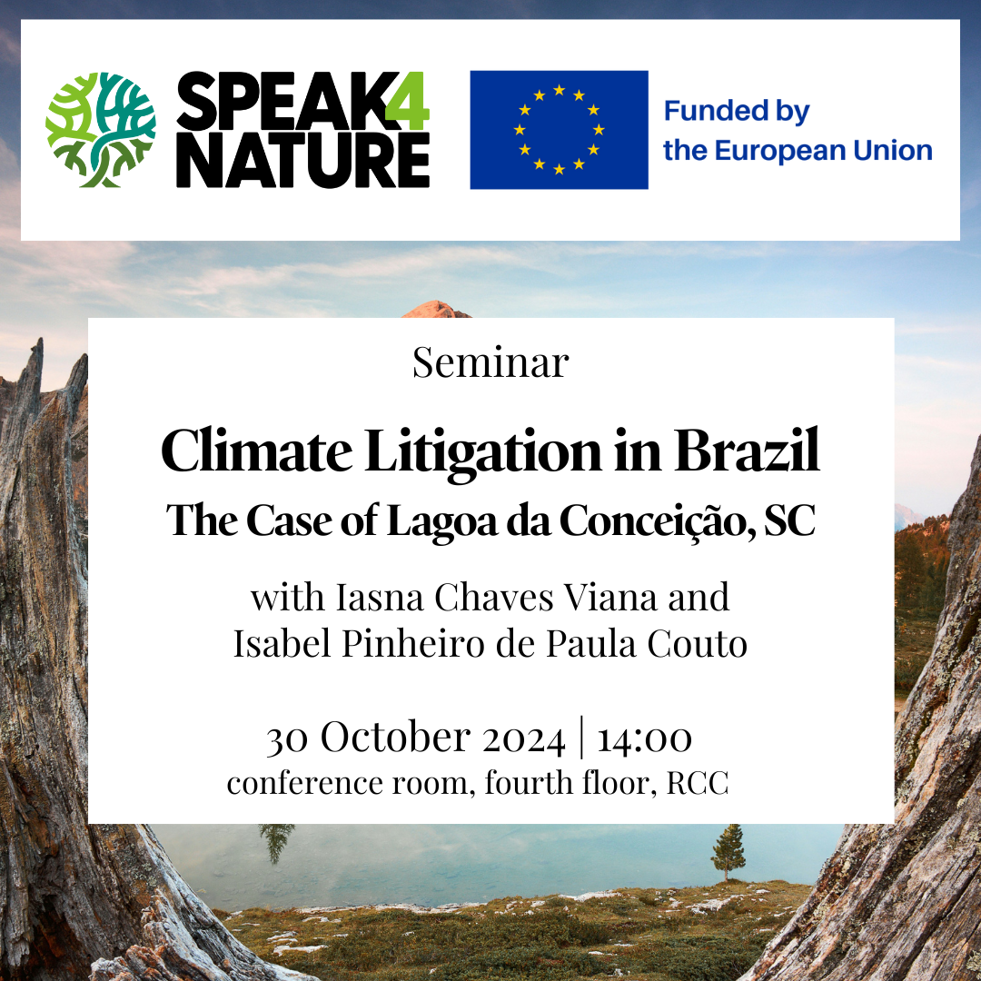 S4N Seminar Poster Viana and de Paula Couto