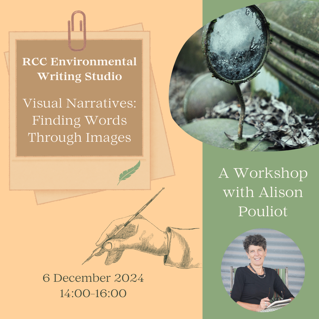 visual narratives