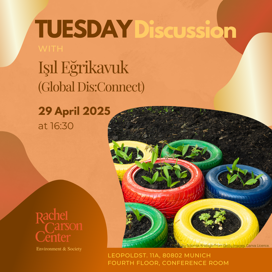 td isil egrikavuk