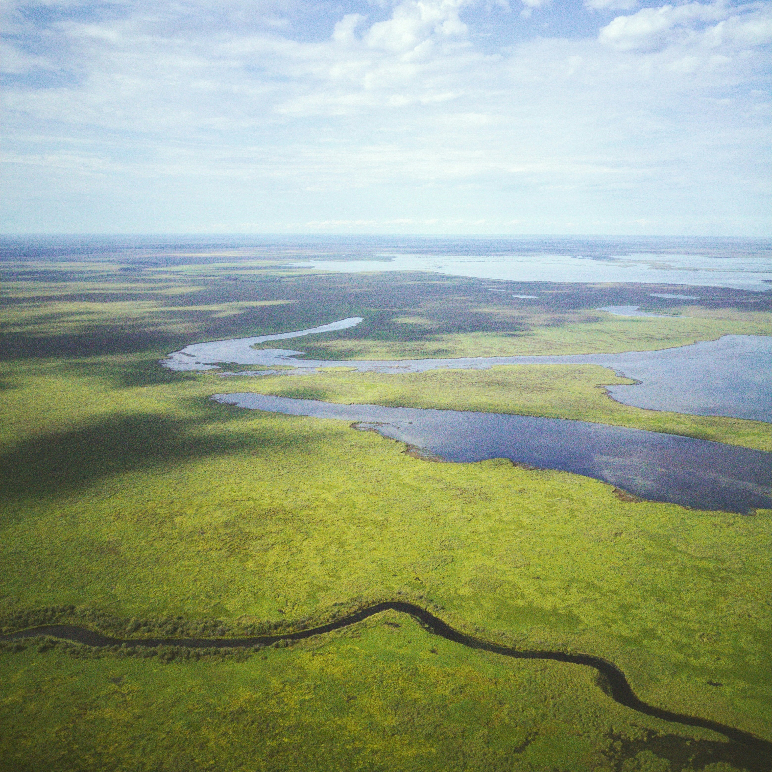 wetlands-unsplash
