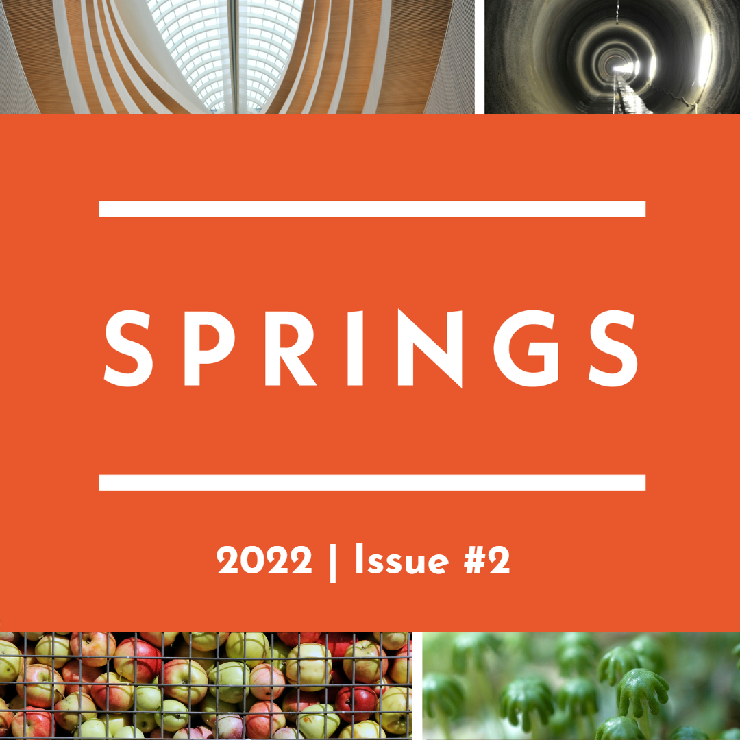 Springs 2 overall cover insta_final