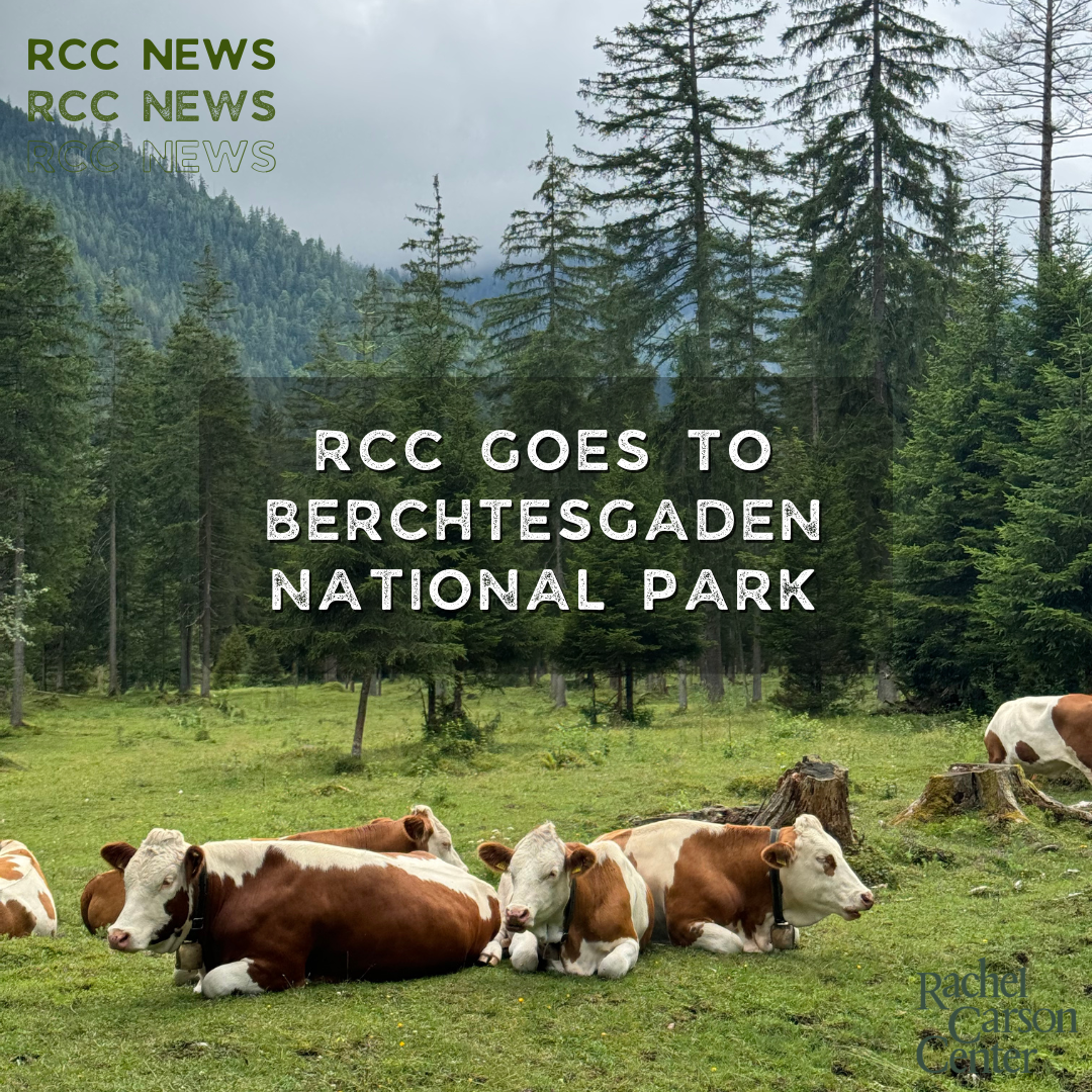 News Items(3)