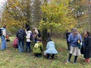 Forayers Hunting for Fungi.