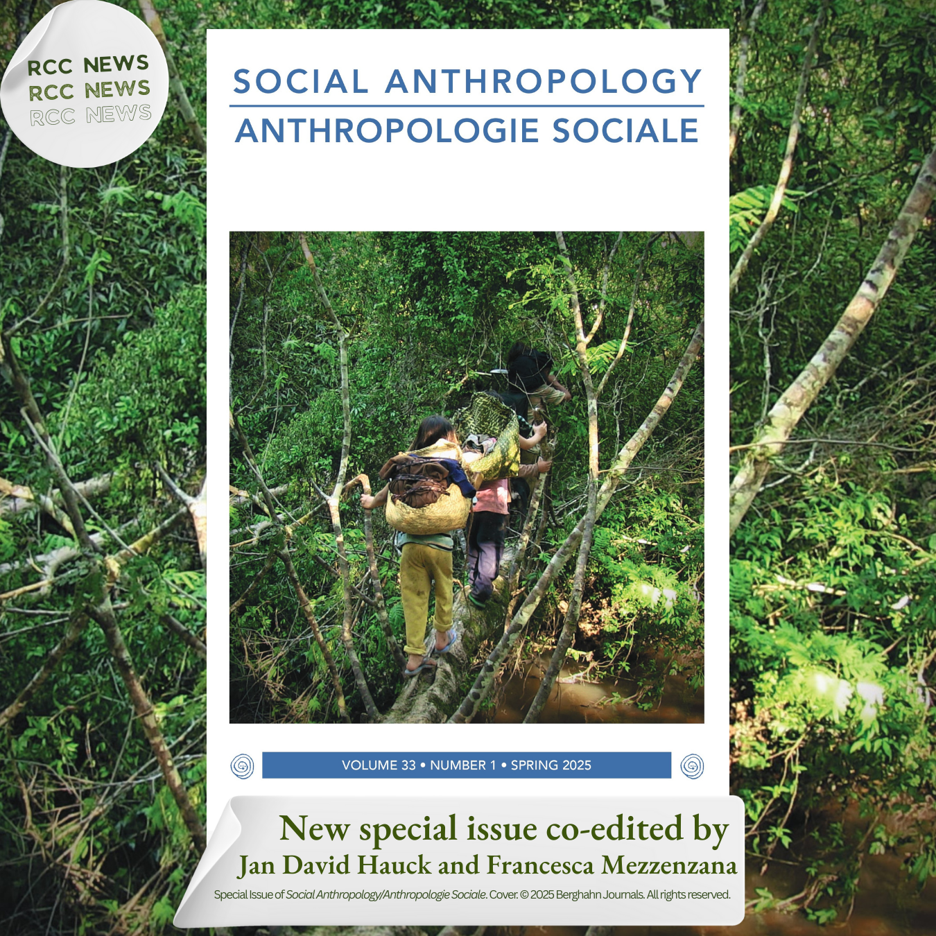 SAAS Special Issue Poster