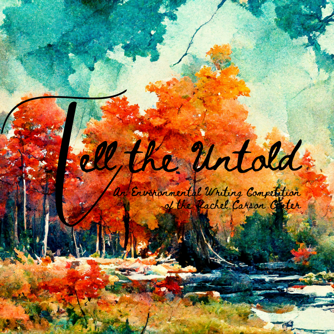 Background image by Imágenes de Juan Ruiz on Canva.