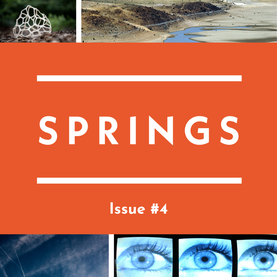 Springs 4 overall cover insta