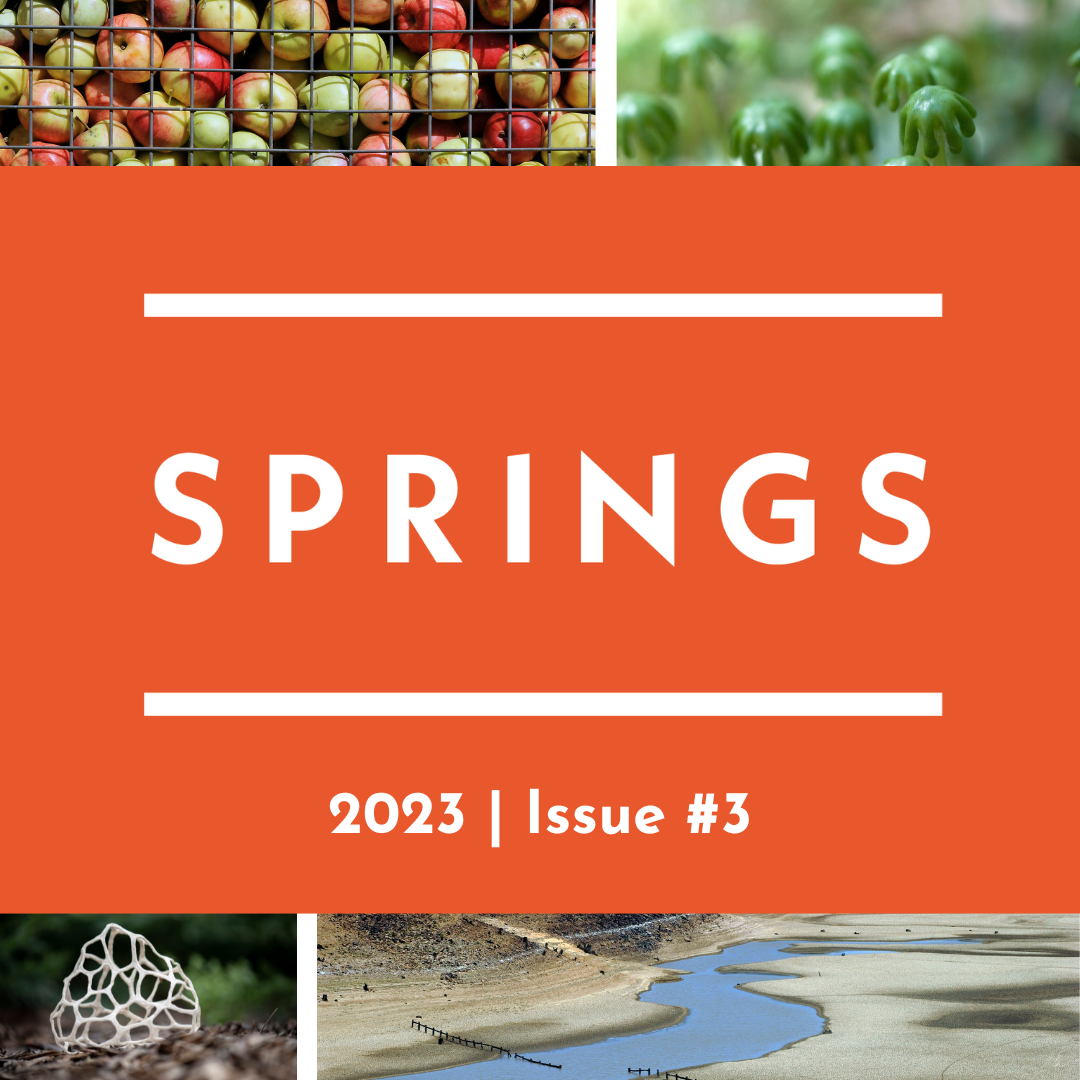 Springs 3 overall cover insta