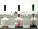 lab_samples_02