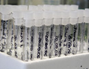 test_tubes_03