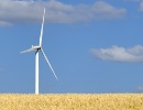 windmill_field