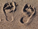 footprints