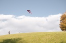 kite_field