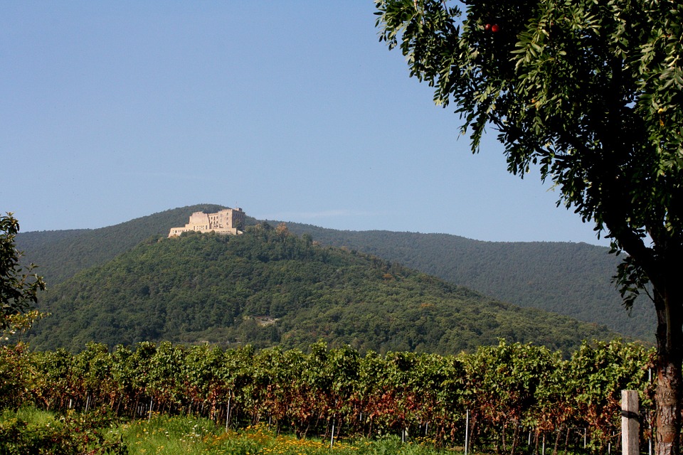 hambach_castle