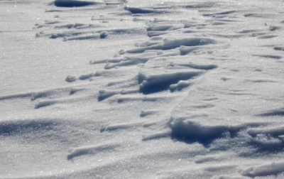snow_texture