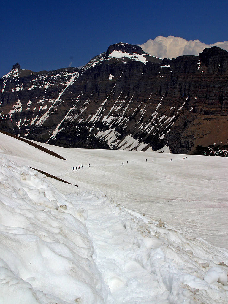 snowy_canadian_mtn