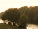 isar