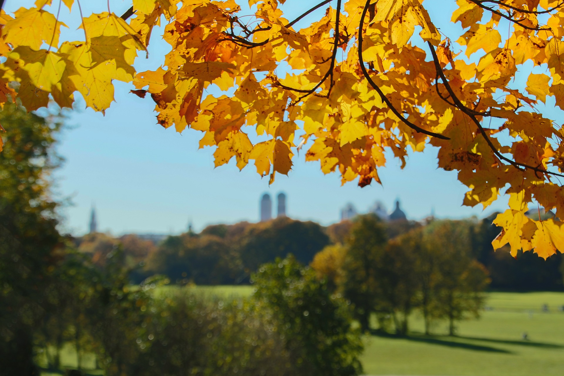 munich-summer