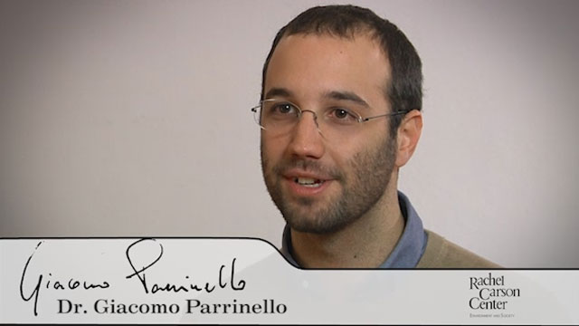 2013_Parrinello_Giacomo_prevpic