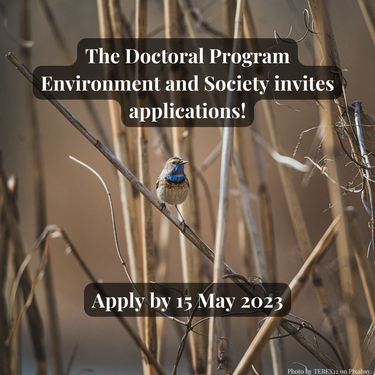 doctoral-program-applications-2023